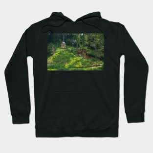 Temple In The Trees, May 2021 Hoodie